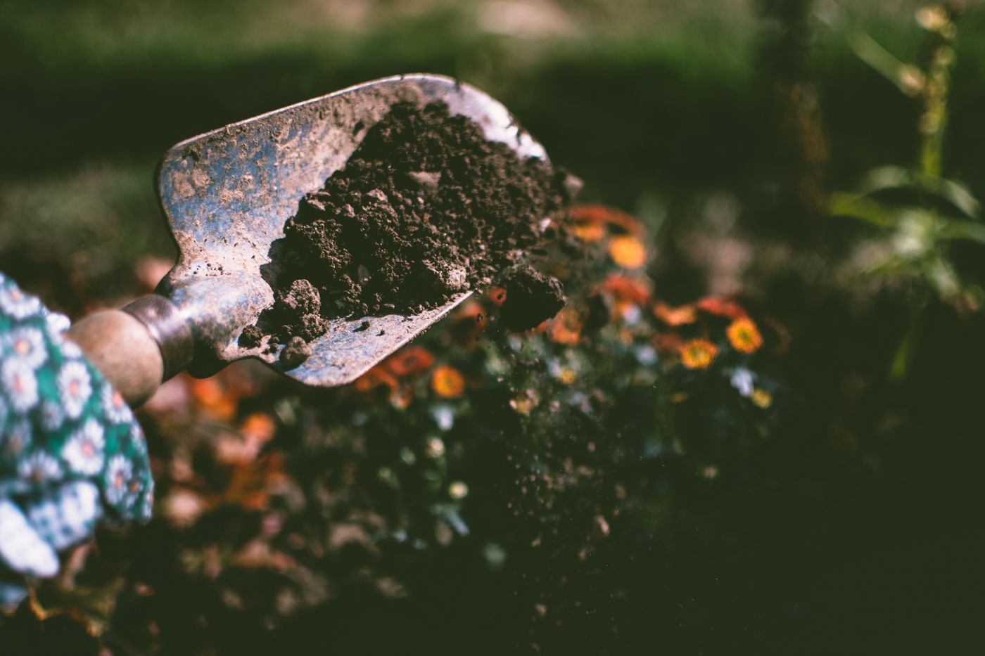 A homeowner's hands working outside with a garden trowel